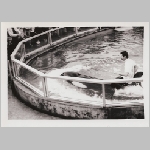 SCAN00232.jpg