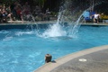 img_7552.jpg