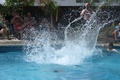 img_7595.jpg