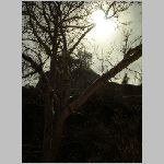 DSCN9224.jpg